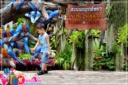 Vé tham quan làng văn hóa Nong Nooch Pattaya